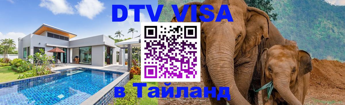 Цены на DTV визу в Таиланд — пакеты услуг, достаточно даже паспорта - Владимир  20.11.2025 